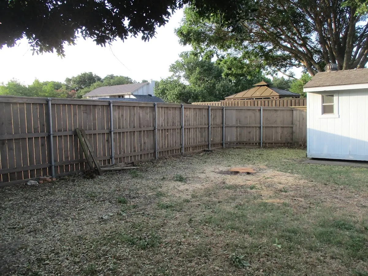 Cleared yard after professional tree removal in Wimbledon